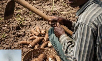 Farmer holding a hoe, looking over shoulder, basket nearby.