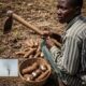 Farmer holding a hoe, looking over shoulder, basket nearby.