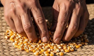 Close-up sifting through a pile corn kernels on a woven mat.