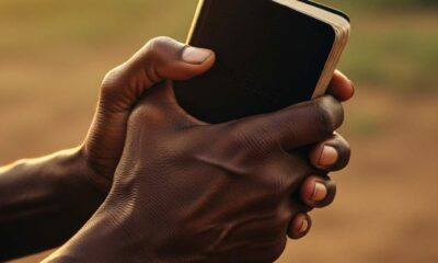 Close-up hands holding a small, worn Bible sunlight