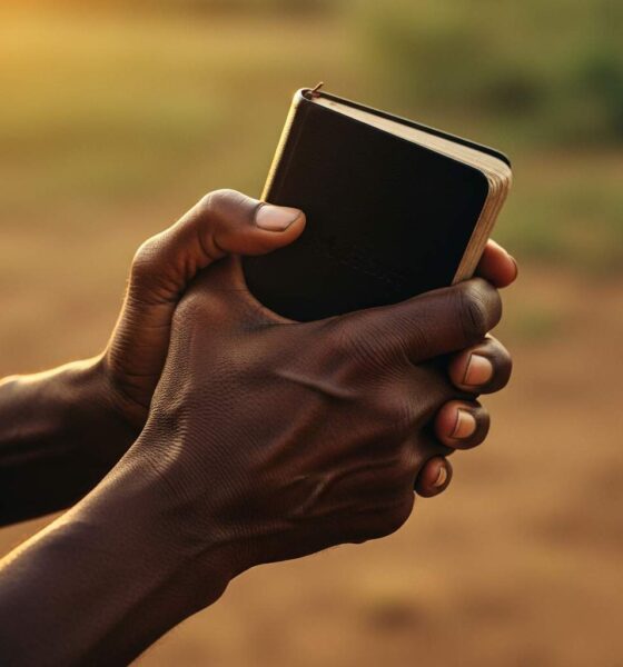 Worn Bible held in hands with sunlight