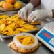 Hands sorting dried mango slices on a stainless steel tray in a processing plant.
