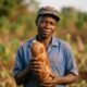 Nigerian yam farmer lifting harvested yam tubers from red soil on farm in Benue StateFeatured Image Description:
Digital photograph of a middle-aged Nigerian farmer in work clothes standing in a yam farm during harvest season. He holds one large yam tuber freshly lifted from the ground, soil still clinging to the brown skin. The farm extends behind him but image composition keeps focus on farmer and yam. Red earth typical of Benue visible. Late morning sunlight. No other people visible. Date stamp indicates current agricultural season.Featured Image Title:
nigerian-yam-farmer-benue-harvest-2026.jpg