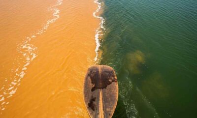 A sharp line separates brown and green river water as a wooden paddle creates ripples