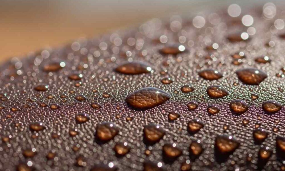 Extreme close-up droplets on dark sk bright sunlight