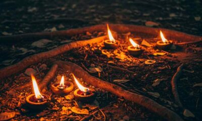 Several small oil lamps flicker on the ground amidst forest roots and leaves