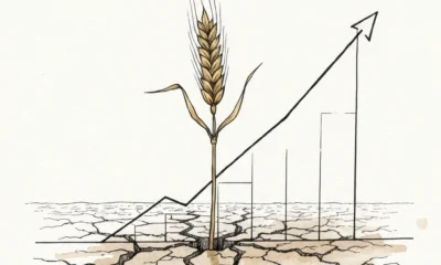 Editorial illustration for Global Food Prices Rose 2.4% in March 2026